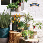 Cuprinol Colour Guide is packed full of inspiration