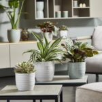 Ames True Temper to distribute the SK brand of indoor plant pots